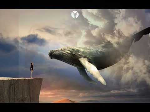 Alexander Saykov - Sky Whale
