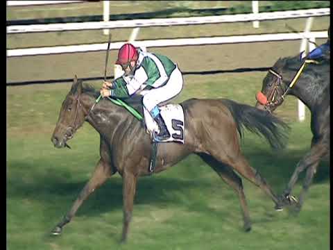 Galoppo 08/11/2017 - 7ª corsa - TRIS