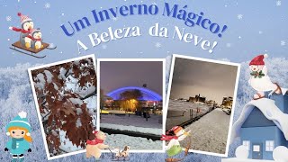 Um Inverno Magico: A Beleza da Neve. Andando por Toronto durante uma nevasca!