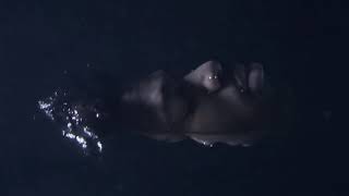 Man on the Moon (Reprise) - Moses Sumney Saxophone Cover