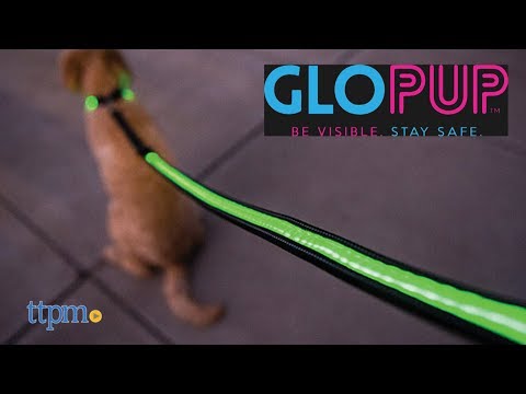 download lagu mp3 mp4 Led Dog Harness And Leash, download lagu Led Dog Harness And Leash gratis, unduh video klip Led Dog Harness And Leash