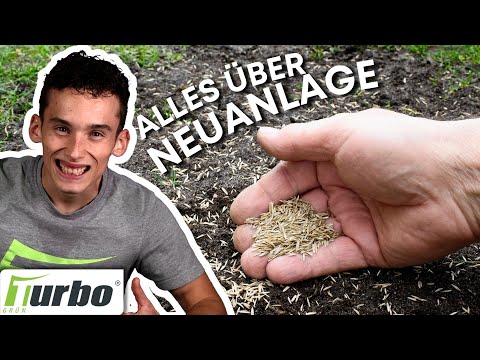 Rasenneuanlage richtige gemacht | Diese Rasensamen brauchst du | Turbogrün