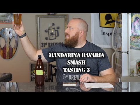 Mandarina Bavaria SMaSH 2 Row All Grain Tasting 3