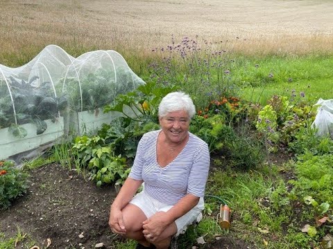 Tomatsås med DJUNGELGURKA och pasta