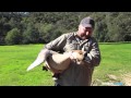 A Wild Goose Chase
