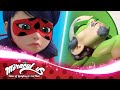 MIRACULOUS | 🐞 MIRACLE QUEEN - The new guardian of the miraculous 🐞 | Tales of Ladybug and Cat Noir