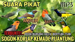 Download lagu SUARA PIKAT BURCIL | KOLIBRI SOGON, KEMADE, KORLAP, PIJANTUNG 100% AMPUH mp3