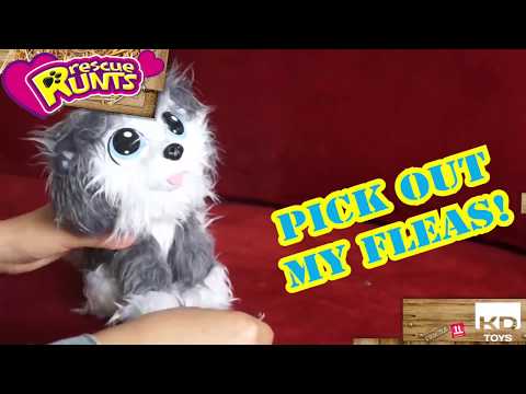 Мягкая игрушка ABtoys Кошка плюшевая 