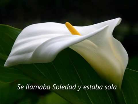 MAS GUAPA QUE CUALQUIERA JOAQUIN SABINA & PAEZ