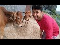 New Breastfeeding Vlog 2025 Beautiful Mom Breastfeeding Desi Breastfeeding Vlogs Viralpost