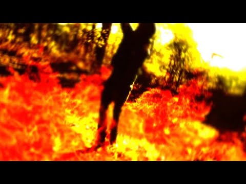 Lade - Man Of My Word (Official Music Video)