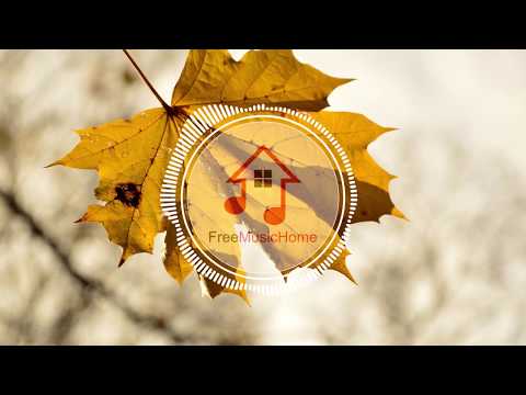 Fights (No Copyright Music)