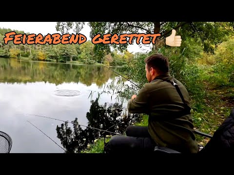 Method feeder fishing with maggots and pop-ups in autumn – what do the fish fancy?