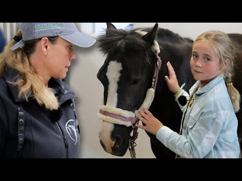 Kinderpony hat massive Probleme - Kann Soraja noch geholfen werden?