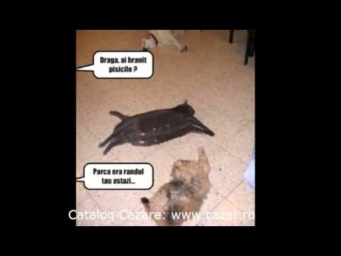 Cazare Dragesti, Bacau - Cazat.ro