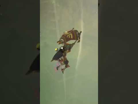 The Legend of Zelda Breath of the Wild - When You Need to Train Bow Accuracy vs. 6 Guardians💯#botw