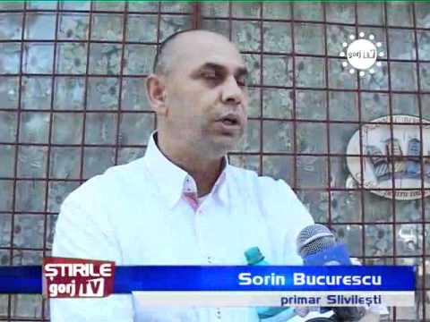 STIRIILE GORJTV   BALAMUC LA SLIVILESTI