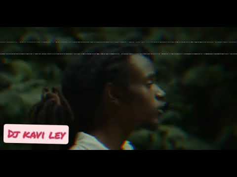 Nation Boss - Human ( Audio )