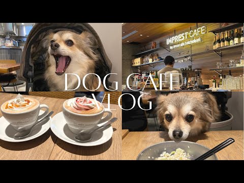 [ vlog ] ドッグカフェ｜東京｜八丁堀 ☕️