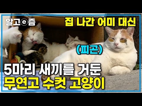 아이콘