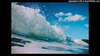 shaman protector spirit