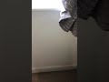IMG 1832