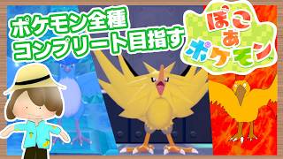 【ぽこあポケモン】全種類コンプリートを目指す初見プレイ（ちょっと作業）