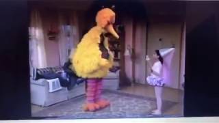 Big Bird and Gabi dance The Ouchy Back Ballet Zig Zag Dance from Elmopalooza