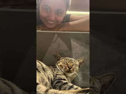 Kitty in Charmi’s room #charmi Chaudhari# Bollywood#actress#Kitty# charmi Palanpur