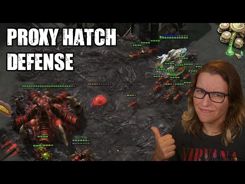 Defending An Odd Proxy Hatch - PvZ