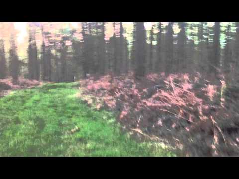 100% de suspense à Saule-Marie (spécial nocturne #3)