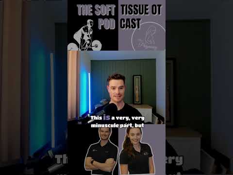 💡 What Is the McGill Big 3? | Perth Injury & Pain Clinic