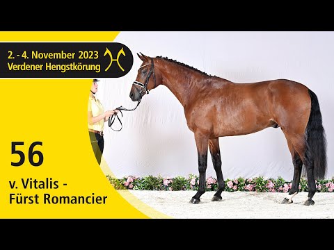 Verden Stallion Licensing 2023 - Dressage - Nov. 2-4 - No. 56 Stallion by Vitalis - Fürst Romancier