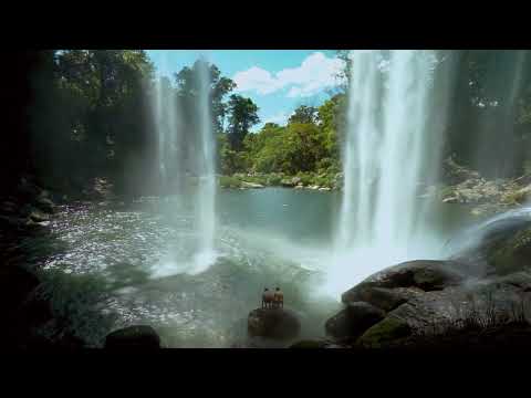 Relaxing Waterfall Sound to Calm Nerves । Life of Shanay