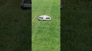 Luba Robot lawnmower #short