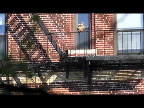 2013-05-03 West End Avenue