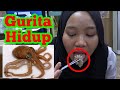 Teman Indonesia Pertama Kali Makan Gurita Hidup Teman Indonesia Pertama Kali Makan Gurita Hidup
