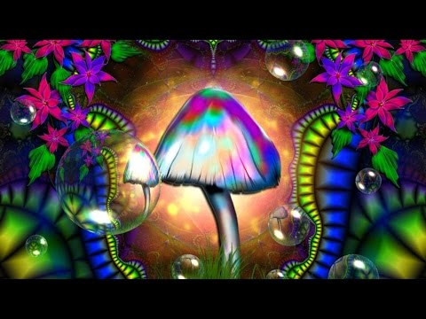 Mr Traumatik ↑ Psychedelic Ascension