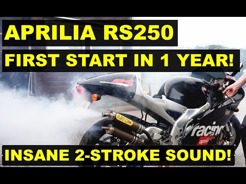 Aprilia RS250 – First Start After 1 Year! Brutal 2-Stroke Sound with Arrow Exhaust 🔥