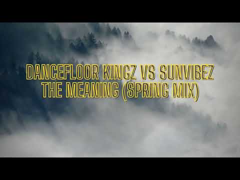 Dancefloor Kingz vs Sunvibez - The Meaning (Spring Mix)