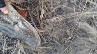 Рыбалка в рубцовском районе района