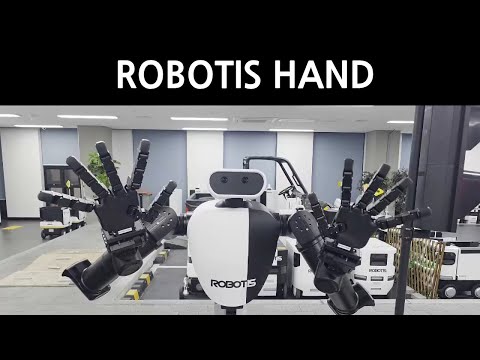 AI Worker Review Video 2