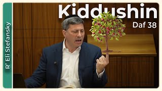 דף יומי קידושין דף 38 מאת ר' אלי סטפנסקי