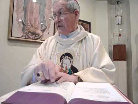 Homily 05/17/12