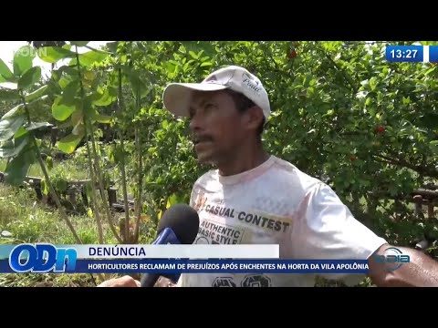 Horticultores reclamam de prejuízos após enchentes na horta da Vila Apolônia 24 01 2022