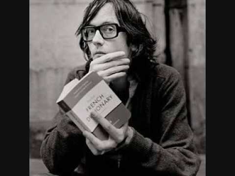 I Never Said I Was Deep - Jarvis Cocker