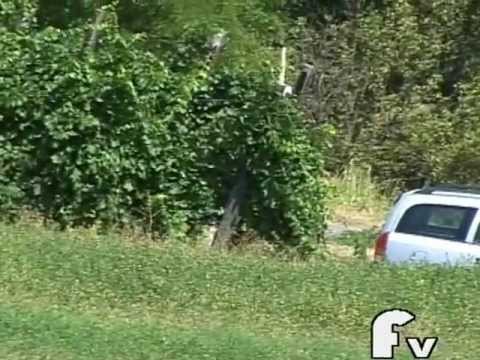 Rally Giarolo 2012 Pozzi M  Pozzi G