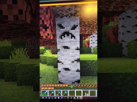 Birch Tree has a Spooky Face (Minecraft)
