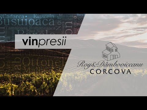 VINpresii Ep. 7 - Degustare on-line - Crama Corcova