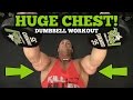 Chest Workouts at the Gym with Dumbbells